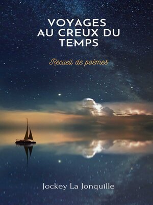 cover image of Voyages au creux du temps